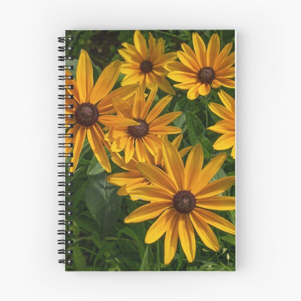 Item preview, Black Eyed Susans in the Sun designed and sold by Gerda Grice Photography.