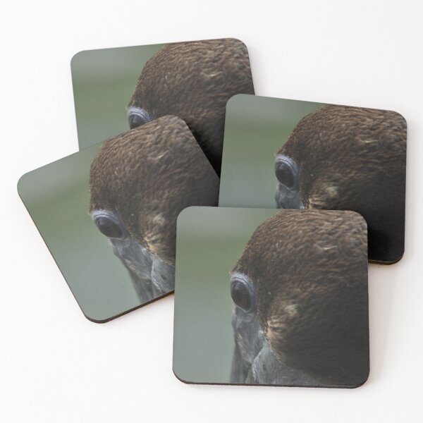 Item preview, Juvenile Brown Pelican designed and sold by Kim McClain Gregal.