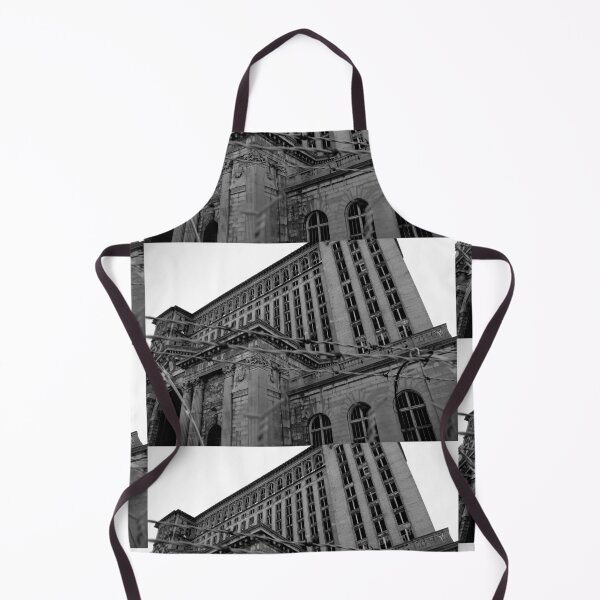 Item preview, Michigan Central Station designed and sold by J Rier Photography.