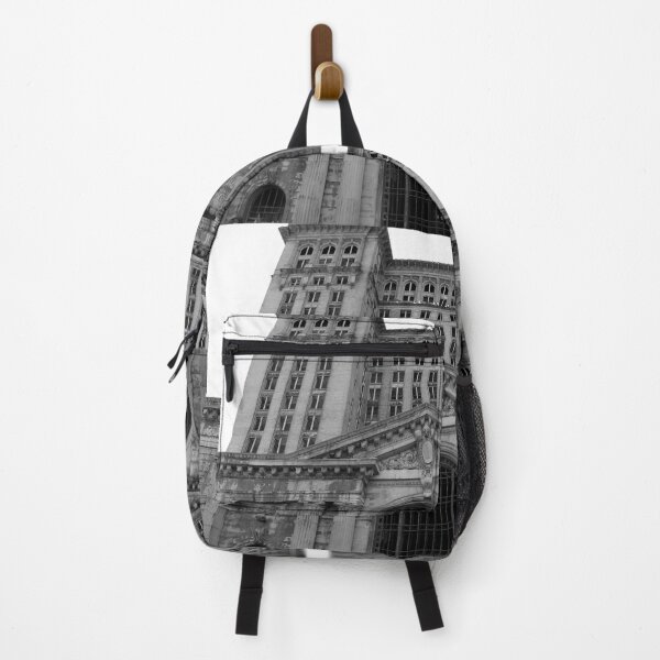Item preview, Michigan Central Station designed and sold by J Rier Photography.
