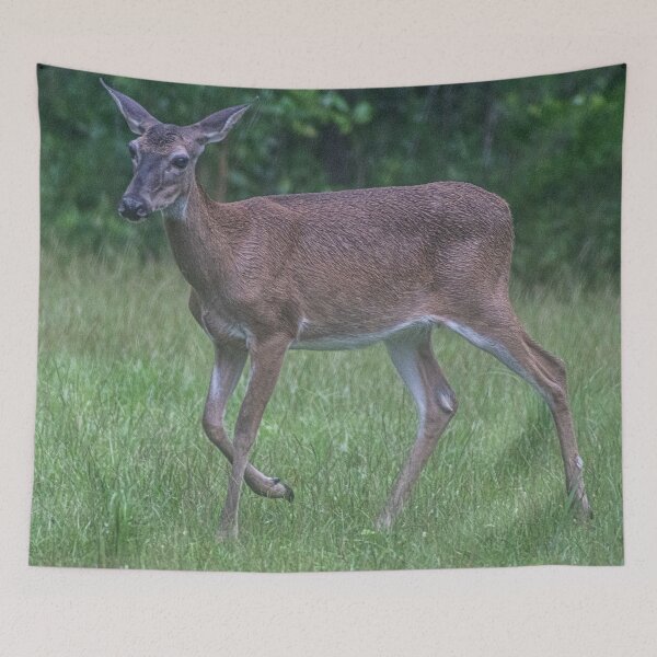 Item preview, White-tailed deer designed and sold by KensLensDesigns.