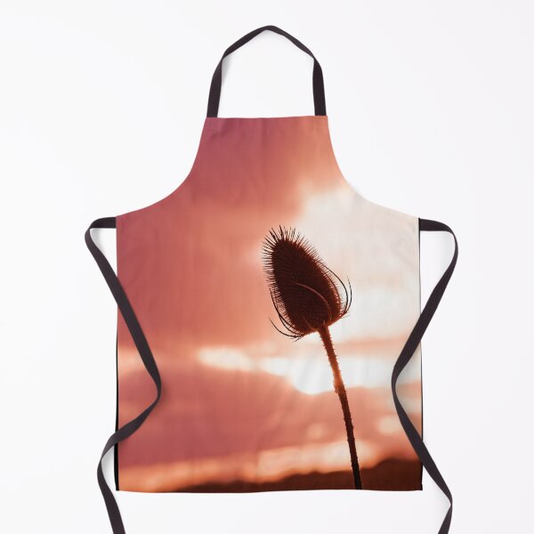 Item preview, Dried thistle, sunset designed and sold by Stéphane Thirion.