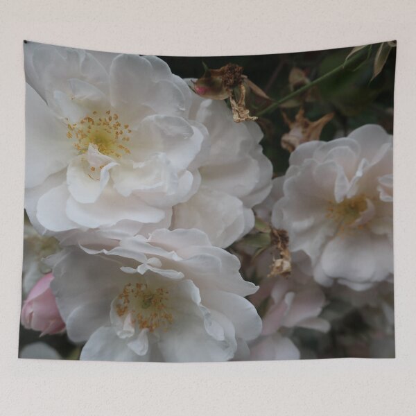 Item preview, Rosa blanca salvaje designed and sold by Anne Nolan.