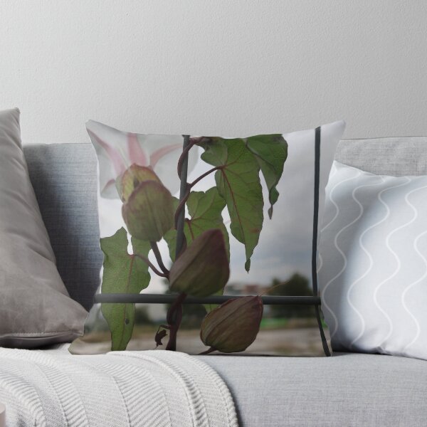 Item preview, Urban bindweed designed and sold by Anne Nolan.