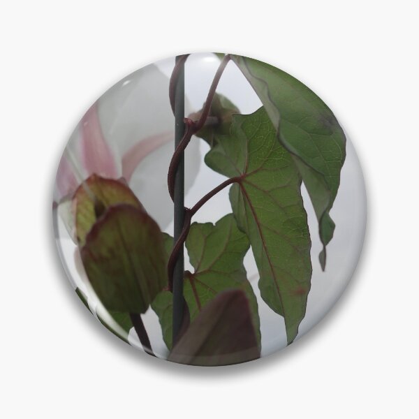 Item preview, Urban bindweed designed and sold by Anne Nolan.