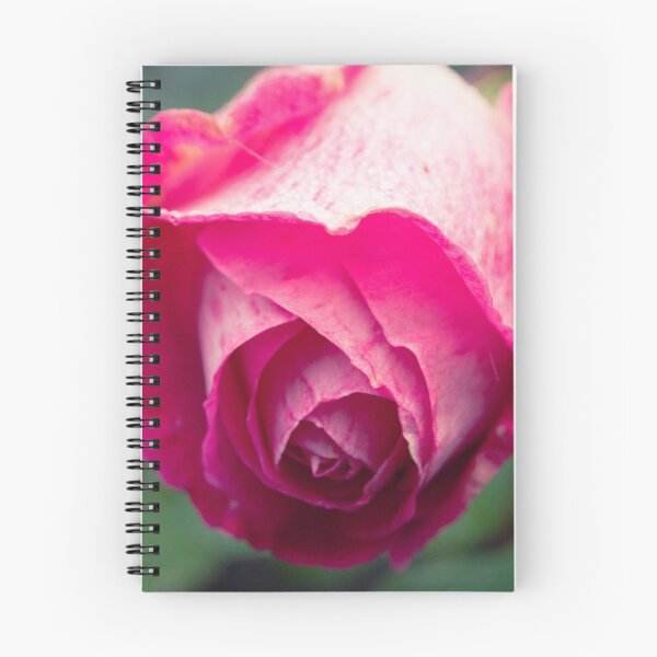 Aperçu de l'œuvre Rose rose créée et vendue par Hextrovert.