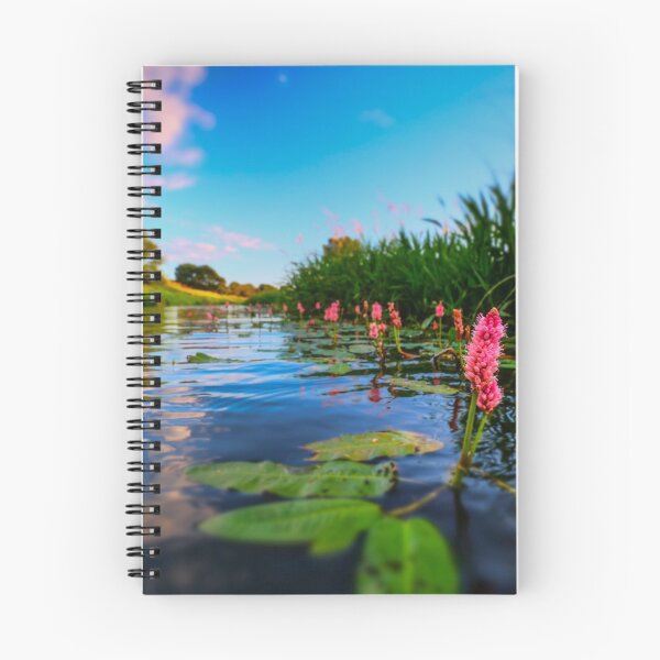 Item preview, Water knotweed sunset designed and sold by willgudgeon.