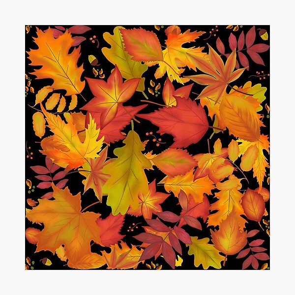 Item preview, All the Autumn Leaves designed and sold by MamaODea.