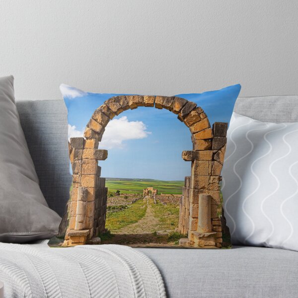 Item preview, Volubilis Arches. designed and sold by bulljup.