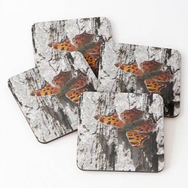 Item preview, Morning Cloak designed and sold by J Rier Photography.