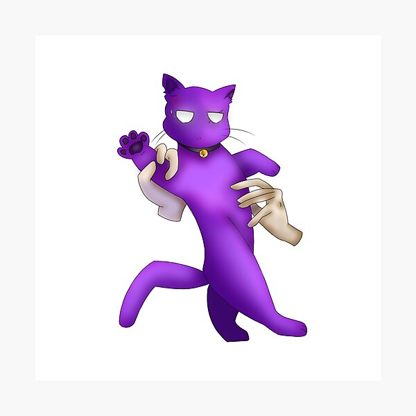 "William the Cat" Photographic Print by I1T9S8M7E | Redbubble