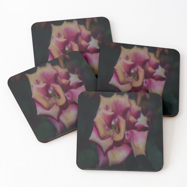 Item preview, The dried rose designed and sold by ONPIRTMARIA.