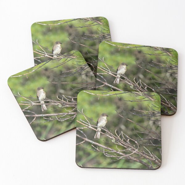 Item preview, Alder Flycatcher, Norway, Maine designed and sold by StevenRalserPhoto.