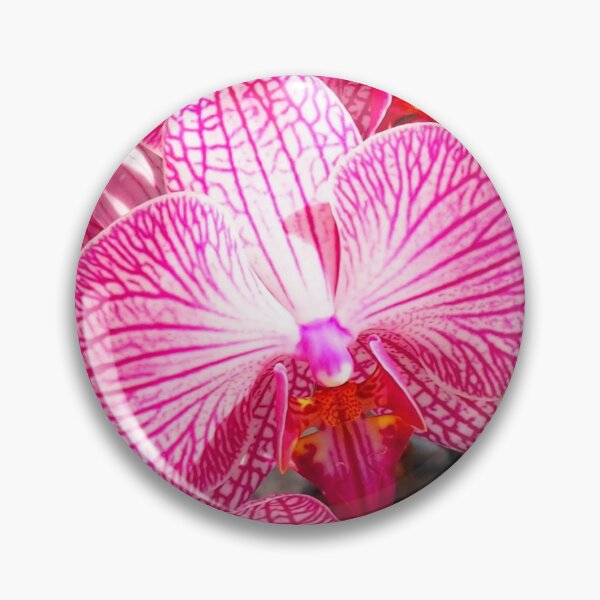 Item preview, Pink Phalaenopsisl Orchids. Close Up Orchid Flowers designed and sold by KarenZuk.