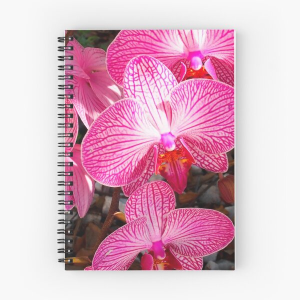 Item preview, Pink Phalaenopsisl Orchids. Close Up Orchid Flowers designed and sold by KarenZuk.