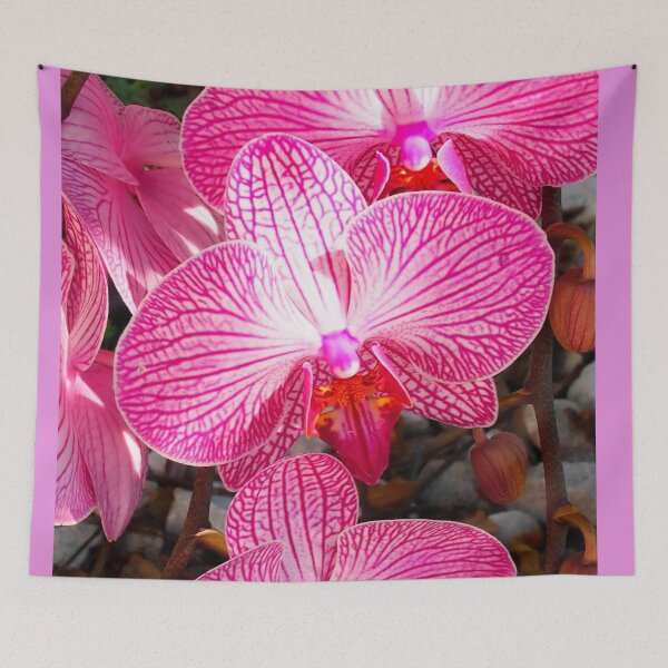 Item preview, Pink Phalaenopsisl Orchids. Close Up Orchid Flowers designed and sold by KarenZuk.