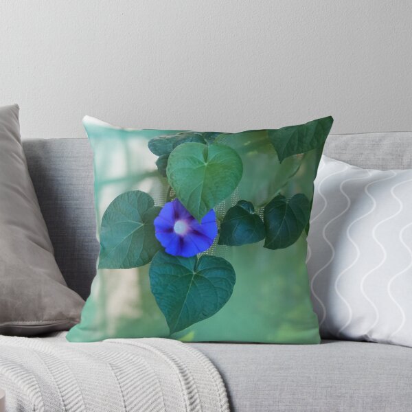 Item preview, Morning Glory designed and sold by IronMegan.