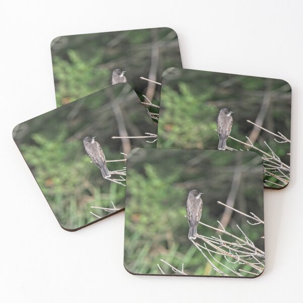 Item preview, Eastern Kingbird, Norway, Maine designed and sold by StevenRalserPhoto.