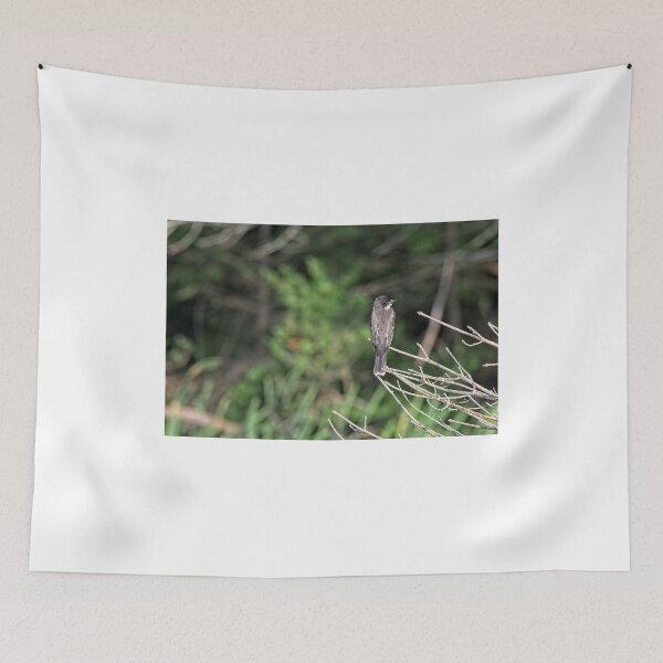 Item preview, Eastern Kingbird, Norway, Maine designed and sold by StevenRalserPhoto.