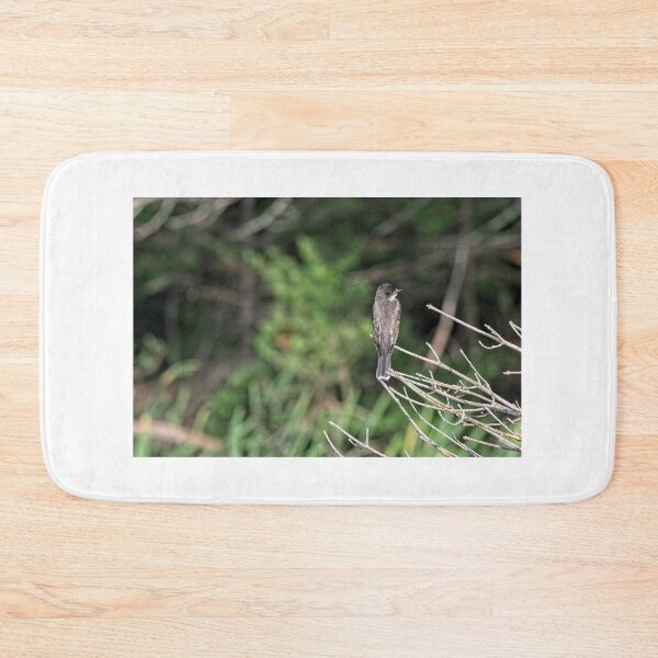 Item preview, Eastern Kingbird, Norway, Maine designed and sold by StevenRalserPhoto.