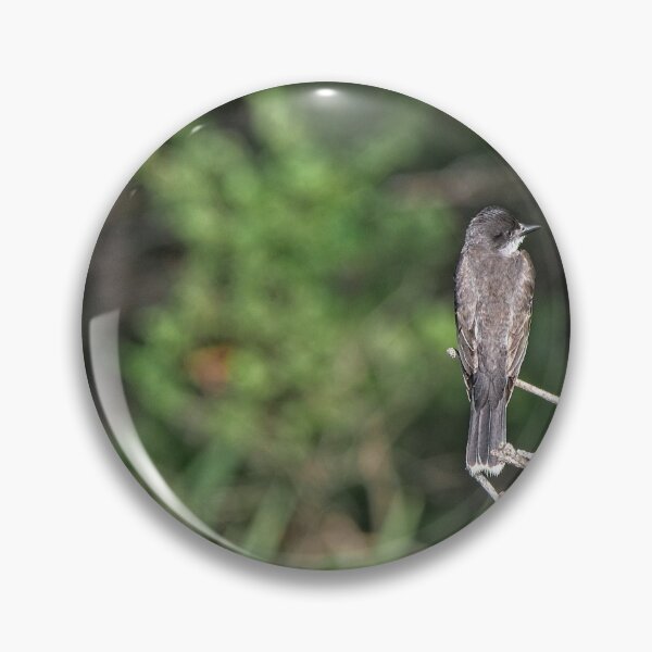 Item preview, Eastern Kingbird, Norway, Maine designed and sold by StevenRalserPhoto.