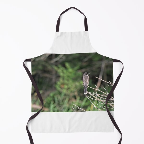 Item preview, Eastern Kingbird, Norway, Maine designed and sold by StevenRalserPhoto.