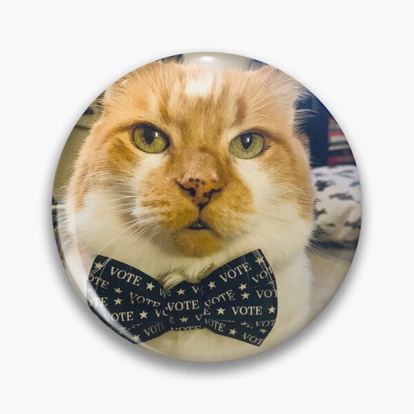 Winston 2020 (blue) Pin