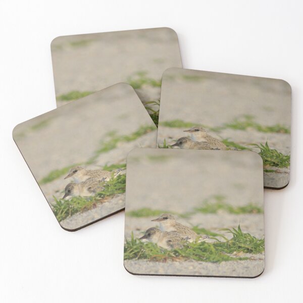 Item preview, Snowy Plover Chick with Mom, As Is designed and sold by Kim McClain Gregal.
