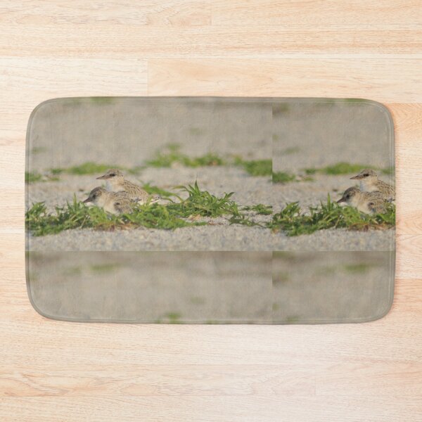 Item preview, Snowy Plover Chick with Mom, As Is designed and sold by Kim McClain Gregal.