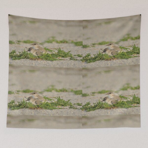 Item preview, Snowy Plover Chick with Mom, As Is designed and sold by Kim McClain Gregal.