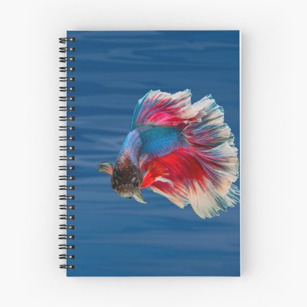 Item preview, Fish make life Betta - betta fish designed and sold by Danicus666.