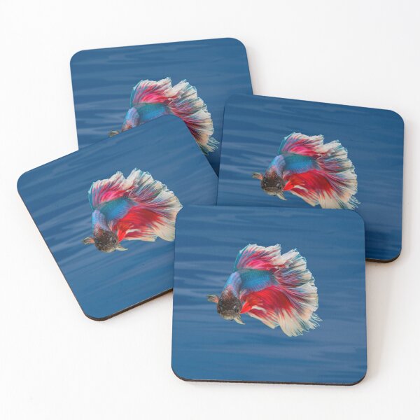 Item preview, Fish make life Betta - betta fish designed and sold by Danicus666.