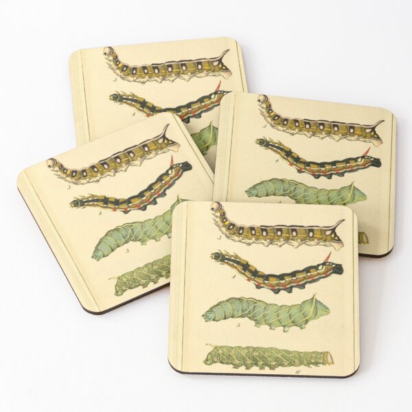 Item preview, Naturalist Catepillars designed and sold by BlueSpecsStudio.