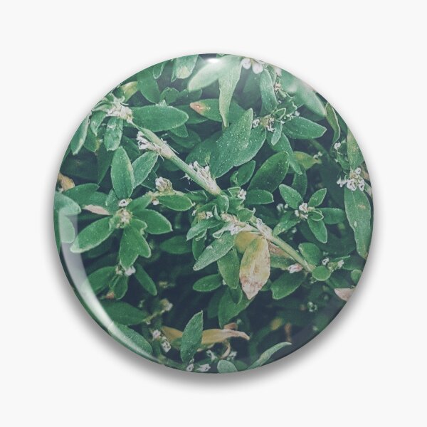 Item preview, green plant - ask me about my plants designed and sold by NelBo.