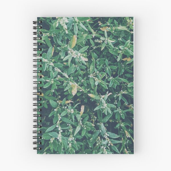 Item preview, green plant - ask me about my plants designed and sold by NelBo.