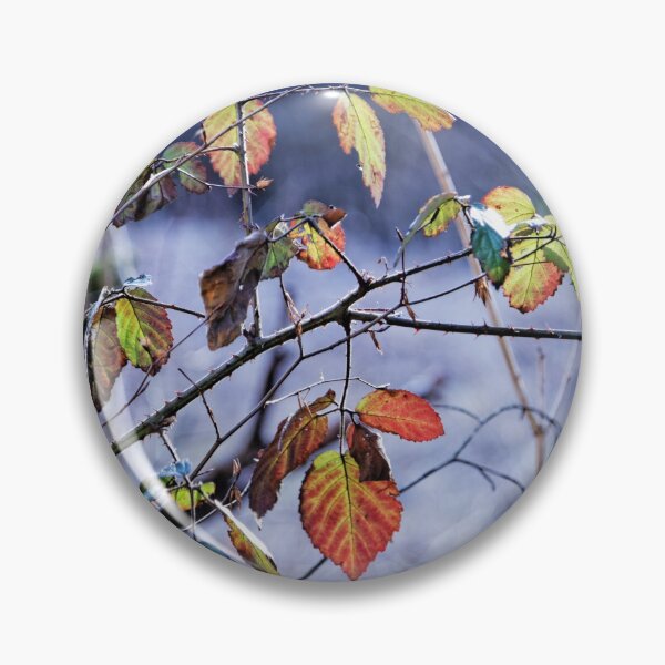 Item preview, Bramble and colors in the forest, photo designed and sold by Stéphane  Thirion.