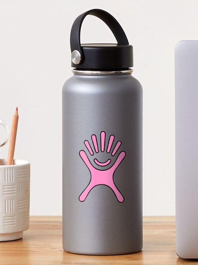 Hydro flask 2025 grey and pink