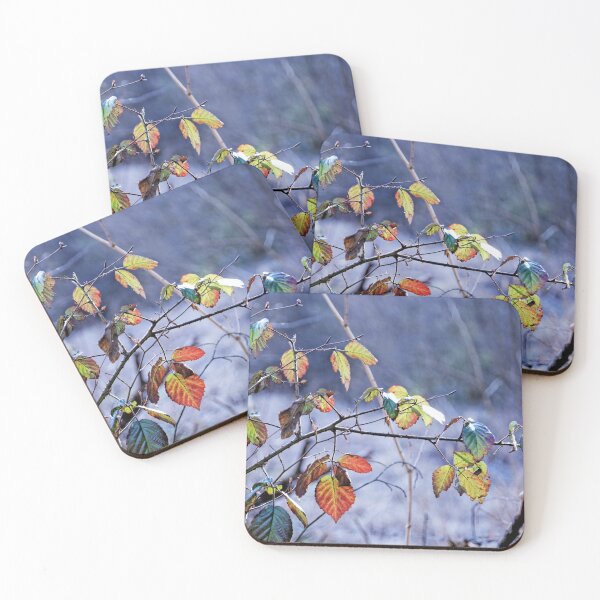Item preview, Bramble and colors in the forest, photo designed and sold by Stéphane  Thirion.