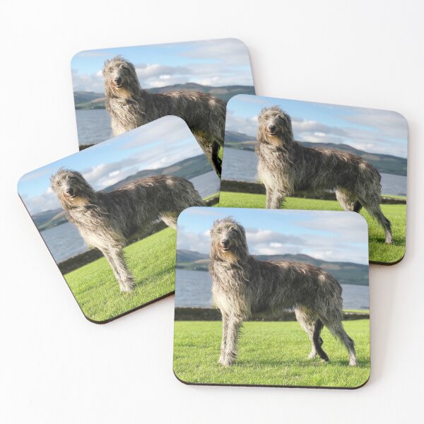 Item preview, Stunning Scottish Deerhound in Scotland designed and sold by DeerhoundRhodry.