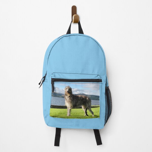 Item preview, Stunning Scottish Deerhound in Scotland designed and sold by DeerhoundRhodry.