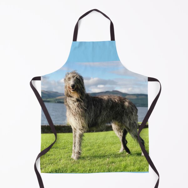 Item preview, Stunning Scottish Deerhound in Scotland designed and sold by DeerhoundRhodry.