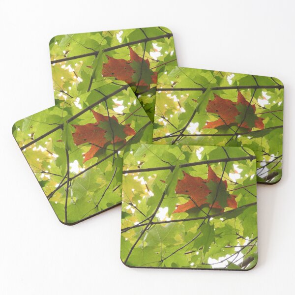 Item preview, Tree Leaves Photo designed and sold by Michelle Elizondo.