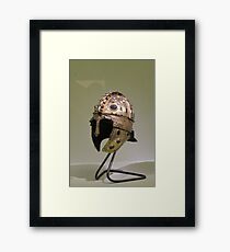 Helmet Framed Print