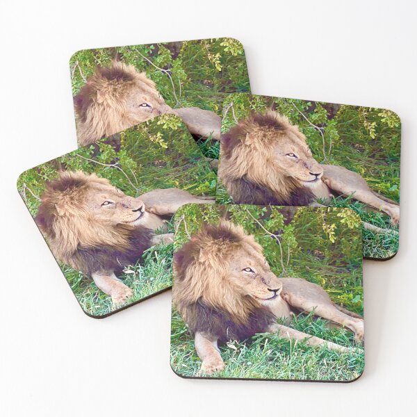 Item preview, African Lion (5) designed and sold by CncptulCaptures.