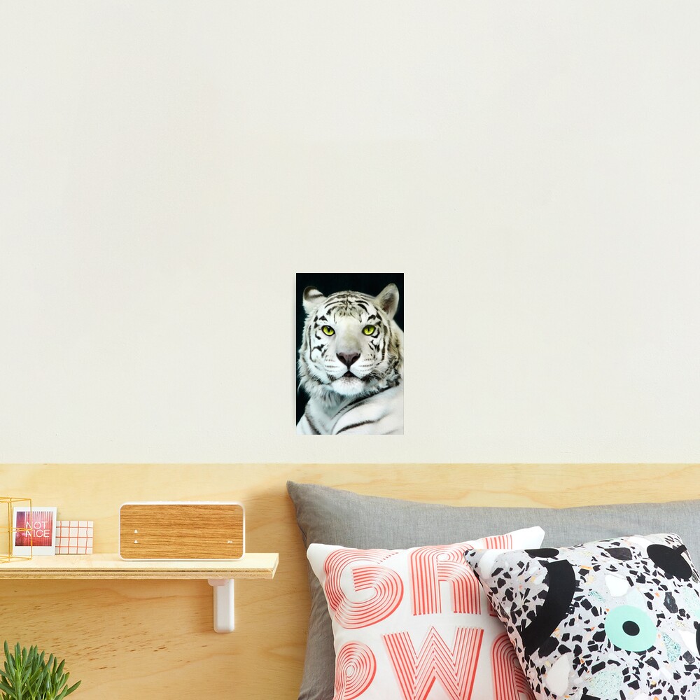 Vista previa del artículo con la obra «Lámina fotográfica», diseñado y vendido por Rapture777.