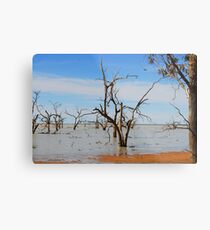 Menindee Lakes Metal Print