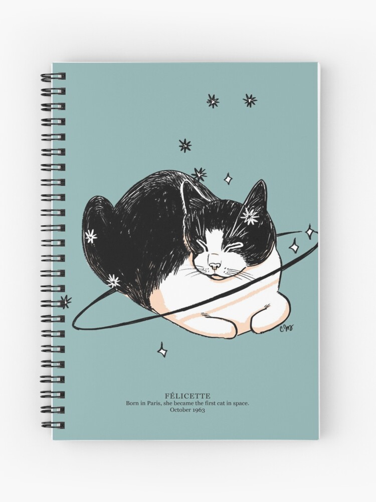 Félicette, The First Cat in Space: Her Story & Contribution to