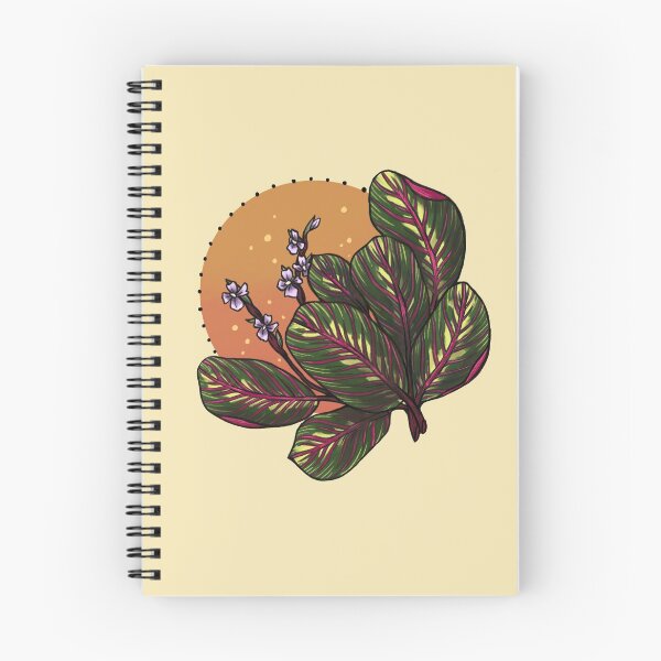 Item preview, Prayer Plant  designed and sold by Amelia Volkman.