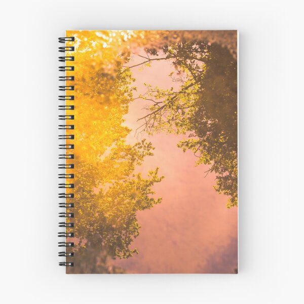 Item preview, Reflection, colorful graphic composition designed and sold by Stéphane  Thirion.