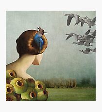 Nest Photographic Print